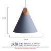 Candelabro Pequeño Creativo Nórdico para Comedor de una Sola Cabeza para Sala de Estar Moderno Simple Personalidad Mini Pantalla Concha Loft Lámparas Colgantes
