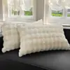 Par de Fronhas de Pelúcia de Pelo de Coelho para Inverno, Espessadas com Veludo de Leite, Capa para Enchimento de Travesseiro de Fleece Coral, Peça Única