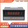 Controlador de Alarme com Display Digital Haibohua XSE5 com Sensor de Torque Estático e Unidade de Aquisição de Display Dedicada