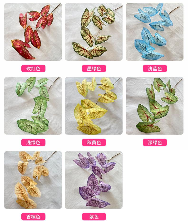 产品颜色-(1).jpg