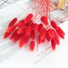 Ramo de Hierba de Cola de Conejo Seca, Materiales DIY de Flor Eterna, Regalo de San Valentín, Adornos de Decoración de Sala de Estar de Alta Gama al por Mayor