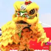Conjunto completo de adereços de dança do leão, suprimentos de dança do leão de Foshan, cabeça de leão do sul, conjunto completo para adulto, conjunto duplo/simples