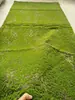Grama Artificial com Flocagem Pedra Gramado Musgo Pedra Bonsai Planta Musgo