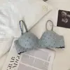 Sudeste Asiático Atacado Transfronteiriço Sutiã Confortável Respirável Sem Costura One-Piece Levanta Seios para Mulheres