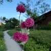 Arreglo artificial de flores de margarita de 5 cabezas, accesorios florales de boda, decoración de salón de bodas, flores de seda de diente de león, margaritas de bola pequeña