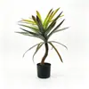 Cactus Bola Simulada Planta Verde Falsa Ventana Decoración Suave Paisajismo Desértico Sisal Árbol de Sangre de Dragón Simulada Cactus Madera Milenaria