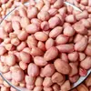 Novo Produto Amendoins Areia Branca Amendoins Rústicos Grão Grande Óleo de Feijão Amendoins Fritos Petisco Frio para Beber Amendoins Secos a Granel