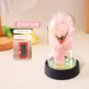 Mini Ramo de Flores de Jabón con Cubierta Acrílica, Rosas, Regalo de San Valentín para Esposa, Amiga, Cumpleaños, Venta al por Mayor Transfronteriza