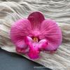 Cabeza de Flor de Phalaenopsis de Película Artificial Impresa en 3D Horquilla para el Cabello de Celebridad de Internet Souvenir de Boda Caja de Dulces de Boda Flores Falsas Decoradas a Mano