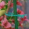 Línea de sujeción transfronteriza cinturón de sujeción espina de pescado planta trepadora modelado línea fija clip de plástico para tomate sujeción cinta de jardín sujeción
