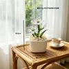 Adornos de Escritorio Hechos a Mano de Flor de Jacinto Suculento Esmaltado Decoración de Maceta de Planta Artificial de Vidrio Micro Paisaje Creativo
