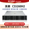 Aplicable al Servidor Doméstico Xinchuang Inspur Cs5260H2 con CPU Hygon Host de Montaje en Rack para Virtualización y Big Data