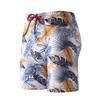 Calções de Praia Masculinos de Cinco Pontos Estilo Calção de Banho, Calções de Banho Masculinos Que Podem Entrar na Água, Estilo Solto, Águas Termais, Beira-Mar, Pequenas Quantidades, Atacado em Estoque