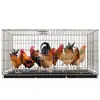 Jaula para Pollos Doméstica Grande Extra Grande Jaula para Ponedoras Jaula para Pollos Jaula de Cría Doméstica Gallinero con Limpieza Automática de Estiércol Jaula Plegable Jaula para Perros