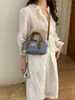 Bolsa de Almofada de Nicho Estilo Coreano para Mulheres, Novo Modelo Verão 2026, Bolsa de Ombro Versátil de Alta Qualidade para o Dia a Dia
