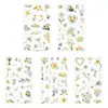 5 pegatinas florales transparentes de PET de margarita fresca, materiales florales frescos pequeños para journaling, pegatinas de taza de té con leche