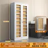 Gabinete de Archivo de Acero para Oficina, Gabinete de Hierro para Comprobantes Financieros con Cerradura, Estantería para Documentos de Archivo, Gabinete Bajo para Almacenamiento del Hogar