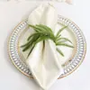 Anillo para Servilleta Navideño de Venta Caliente Transfronterizo Guirnalda de Pino Norfolk Corona Verde Decoración Festiva para Banquetes Fabricante