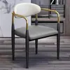 Cadeira de Jantar de Luxo Leve para Uso Doméstico com Encosto, Mesa e Cadeiras de Jantar Modernas Minimalistas para Lazer, Adequado para Cafeteria e Restaurante da Moda