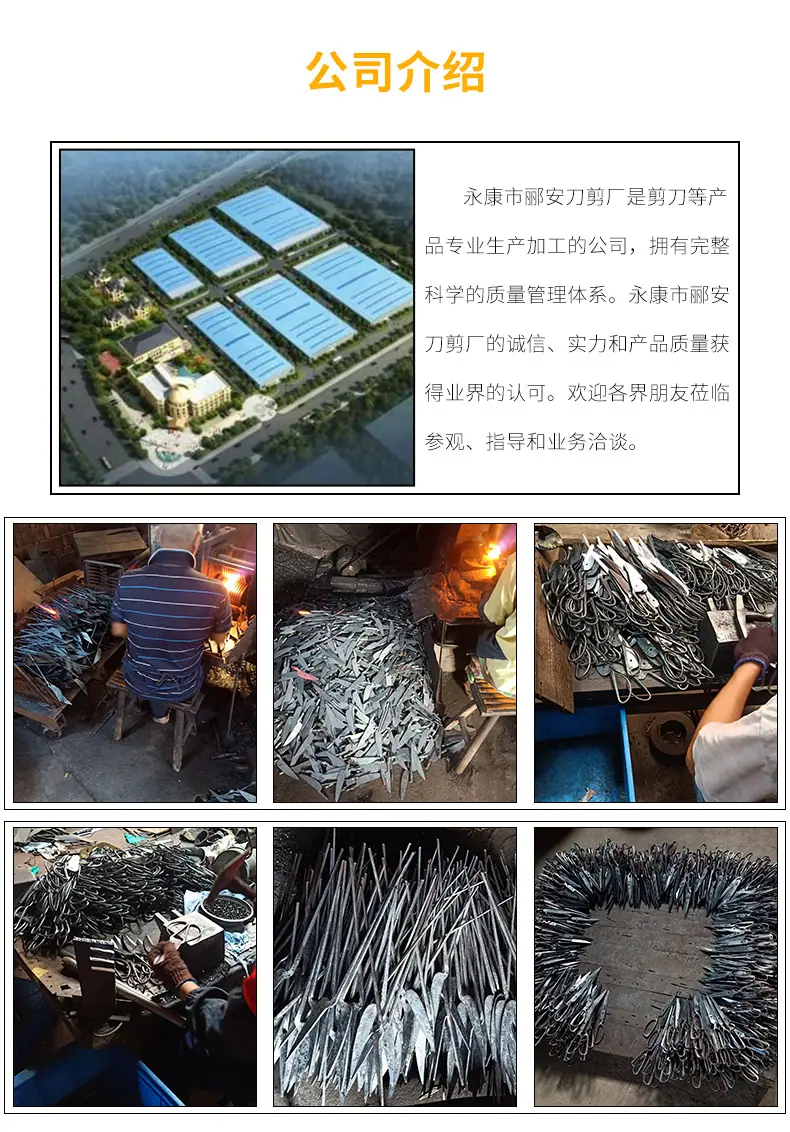 公司介绍