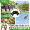 Red Anti-Pájaros Transfronteriza de PE Red Extruida para Protección de Árboles Frutales en Jardines y Patios con Correas de Amarre Cubierta Negra Anti-Pájaros
