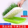 Sementes de trigo para grama de gato caixa hidropônica planta em vaso ready-to-eat comprimidos removedores de bolas de pelo petiscos de catnip suprimentos para gatos atacado