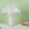 Buquê de Flores de Juncos Secos, Decoração de Juncos, Decoração de Casamento Transfronteiriça, Capim dos Pampas, Pequenas Flores Preservadas de Pelo Macio, Juncos