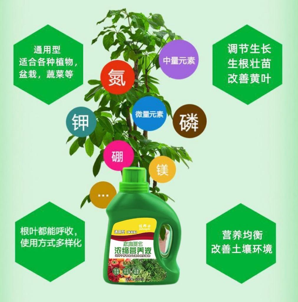 微信图片_20250322170348.jpg