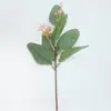 Folha de Dinheiro Única Curta Transfronteiriça da Amazon com Fruto Eucalipto Simulado Decorativo Feito à Mão Planta Similada Folhas de Eucalipto