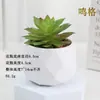 Plantas en Maceta de Suculentas de Diamante Simuladas al por Mayor, Decoración del Hogar, Plantas Suculentas para Oficina, Adornos de Plantas Verdes, En Stock, Entrega Inmediata