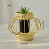 Plantas Decorativas em Vasos para Casa, Arte em Ferro de Luxo Leve, Móveis Criativos de Estilo Europeu Simples para Sala de Jantar, Sala de Estar e Hall de Entrada, Enfeites Redondos
