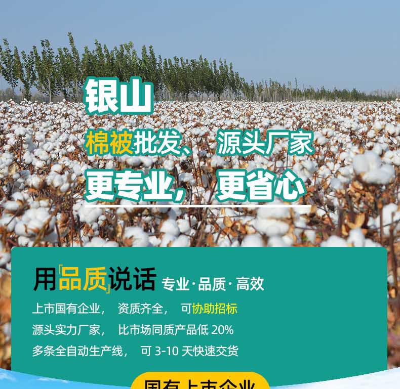 2023年详情-棉被-恢复的_01