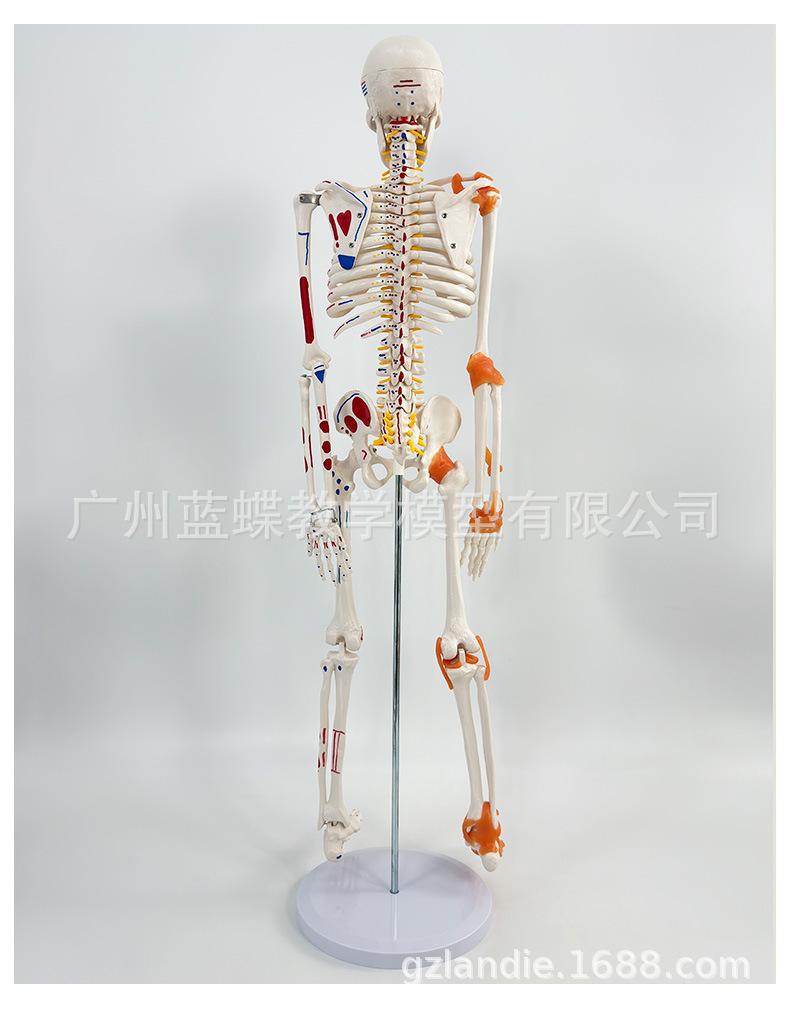 详情_13