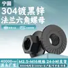 Porca Flangeada Hexagonal de Aço Inoxidável 304 com Dentes M2.5-M16 Preta Anticorrosiva Antiderrapante