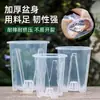 Vasos Verdes Transparentes com Controle de Raízes para Orquídeas, Dendrobiums, Musgo Sphagnum e Orquídeas Phalaenopsis; Vasos de Plástico Grandes para Uso Doméstico, Respiráveis e Vazados