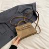 Bolso pequeño de mano sencillo y moderno estilo Hong Kong para mujer, bolso cruzado de otoño e invierno 2024.