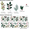 Adesivo de Parede Vinha de Natal com Frutas Vermelhas de Azevinho em Aquarela PVC Autoadesivo Removível Adesivo de Decoração de Feriado Loja Adesivo de Planta