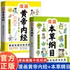 Quadrinhos Autênticos Explicam o Huangdi Nei Jing Versão Colorida da Teoria Básica da Medicina Tradicional Chinesa para Cuidados com a Saúde em Todas as Estações, Livros Médicos Introdutórios