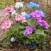 Lámpara de Suelo de Hortensia Simulada Solar Impermeable para Exteriores Lámpara Decorativa de Jardín para Patio Césped Venta Caliente Temu