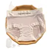 Ropa interior para niñas de seda de hielo sin costuras, de cintura media, ultradelgada, de secado rápido, bragas triangulares de verano, ropa interior estilo mascarilla para mujer, ropa interior fina de verano para mujer