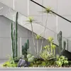 Planta Verde Artificial, Árvore do Milênio, Planta Cauda de Ferro, Sensação de Alto Padrão, Sala de Estar, Decoração de Cafeteria, Árvore Falsa, Planta Falsa, Planta em Vaso, Árvore Sangue de Dragão