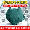 Capa Protetora para Árvores contra o Frio, Cobertura para Proteção de Plantas contra o Frio, Disponível para Envio Internacional, Rede para Pássaros Exportação Anti-Congelamento Tecido Não Tecido Espessado Respirável Cobertura
