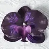 Cabezas de flores artificiales de orquídea mariposa, materiales para flores de pared, materiales para pasadores y accesorios para el cabello hechos a mano para DIY, piezas de flores y accesorios de pétalos para decoración de bodas