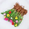 Plántulas de Girasol de Doble Pétalo Inmortales con Raíces y Brotes Enviadas en Maceta Florales Balcón Plantas Verdes Florecientes