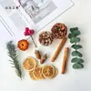 Paquete de Materiales para Creación de Entorno de Jardín de Infancia de Bellota de Fruta Piña Accesorios para Sesión de Fotos Decoración de Fruta Hecha a Mano DIY