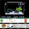 Acuario para Sala de Estar Modelo Nuevo 2025, No Necesita Cambiar Agua, Autocirculante con Oxígeno, Juego Completo de Tanque de Vidrio Curvado en Caliente para Paisajismo Acuático, Tanque Ecológico de Hierba
