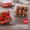 Caja de Plástico Desechable Personalizada para Frutas de Mascotas, Bandeja Transparente Fresca, Caja Espesa para Cortar Frutas, Caja de Empaque para Frutas y Verduras