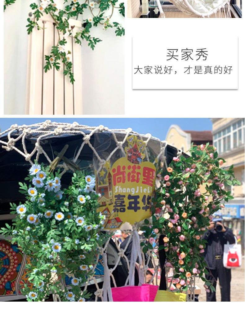 未标题-1_13.jpg