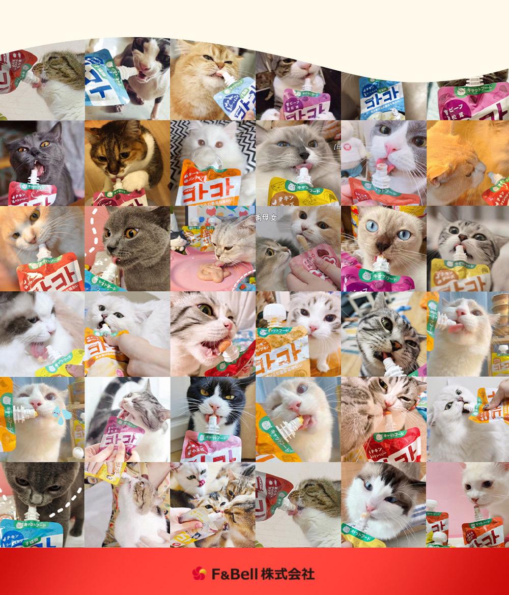 详情页-新升级咕噜酱-猫-正式版0419_14.jpg