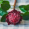 Cabeza de Buda flor artificial flor artificial flor Emperador flor de seda Sakyamuni mayoreo y menudeo arte floral suave para el hogar